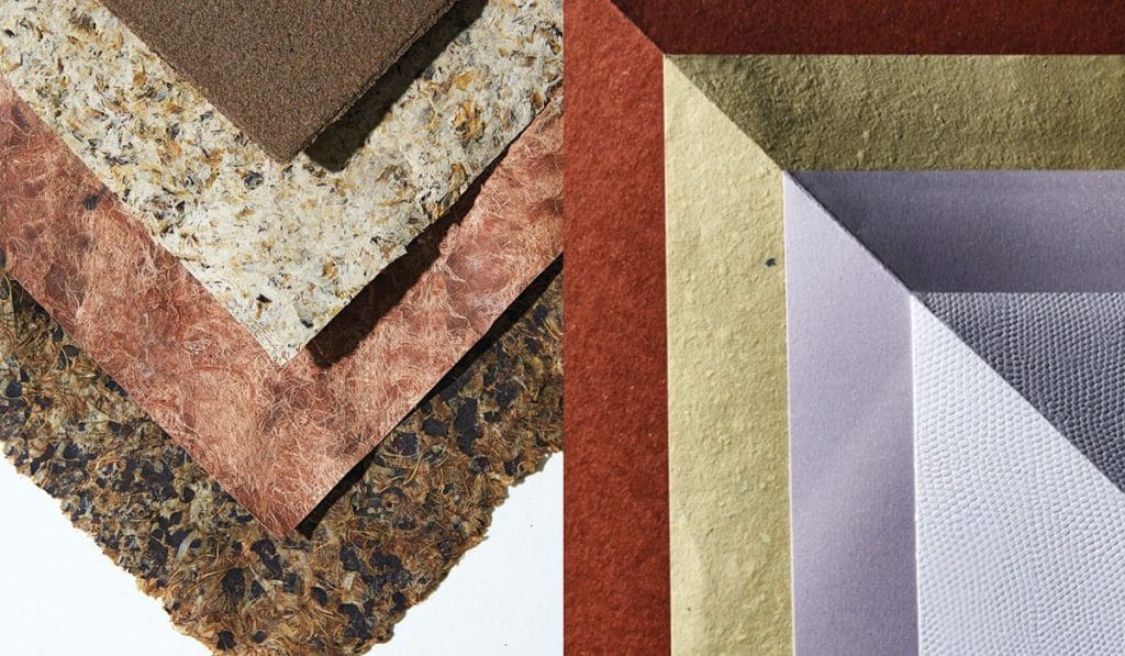 The Peak Expert: Paper