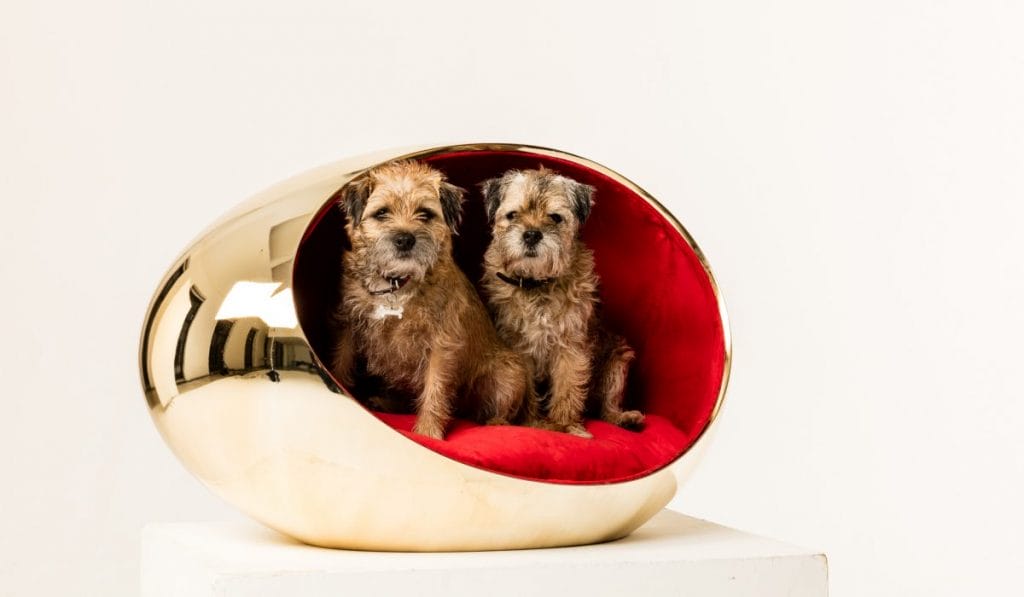 Stylish homes for dogs, designed by renowned architects