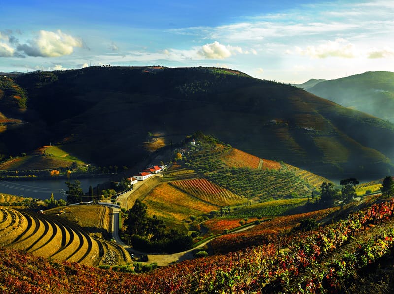Discovering the wonders of Portugal's beautiful Douro Valley