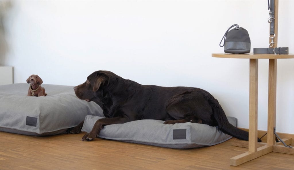 Mercedes-Benz's Collection 2019 Accessories Are Designed To Pampers Man's Best Friend