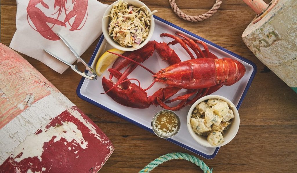 How Luke Holden grew a single lobster roll shack into a multimillion-dollar seafood business