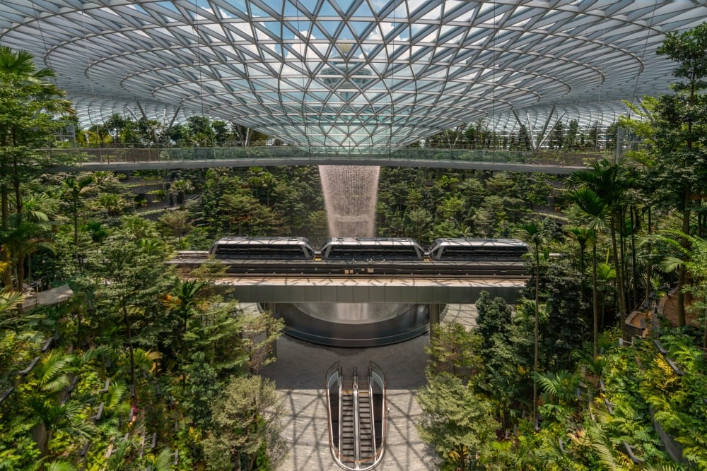 Singapore: New Jewel Changi Airport is a treat for jungle lovers [PHOTOS]