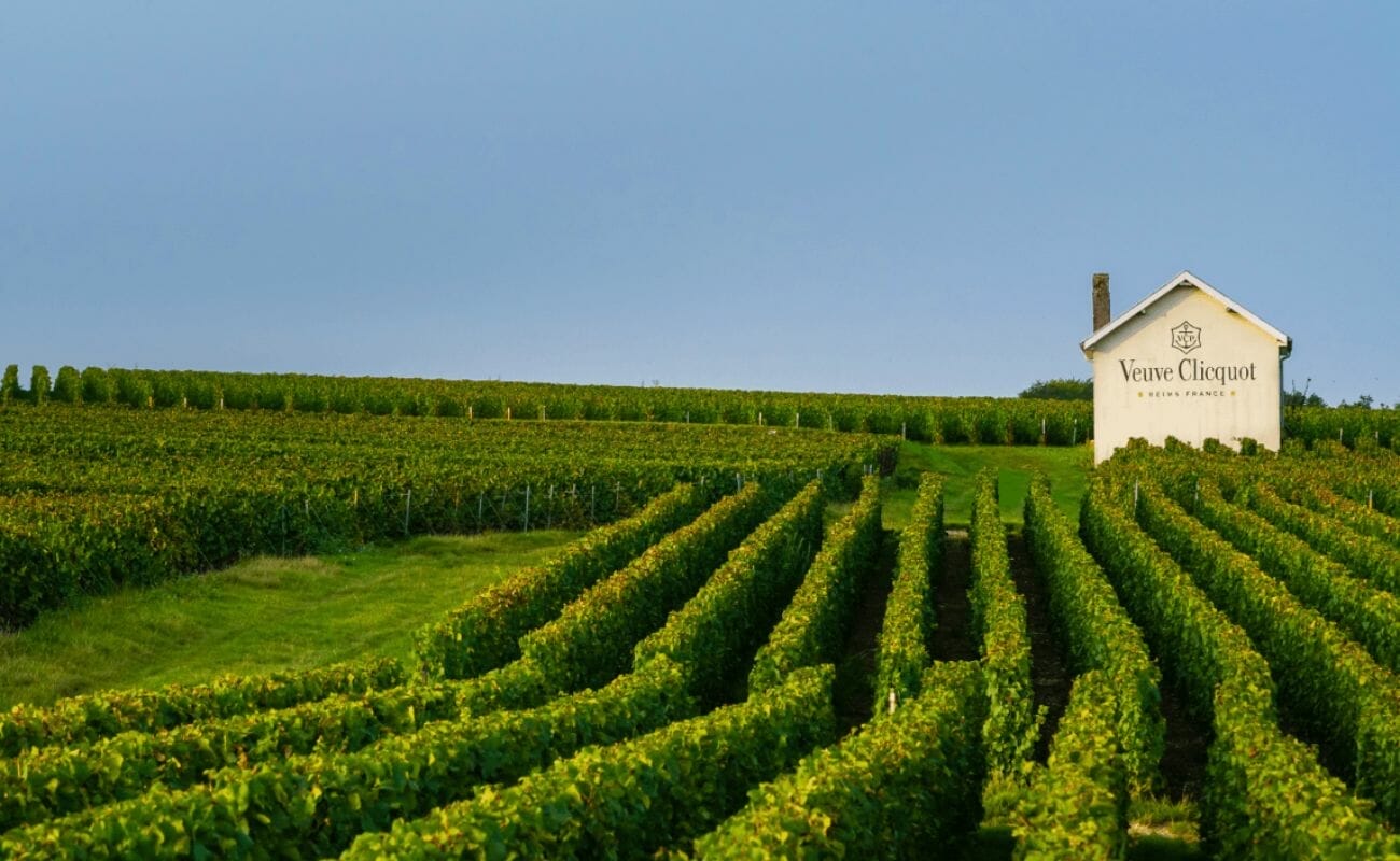 The Art of Winemaking - Veuve Clicquot