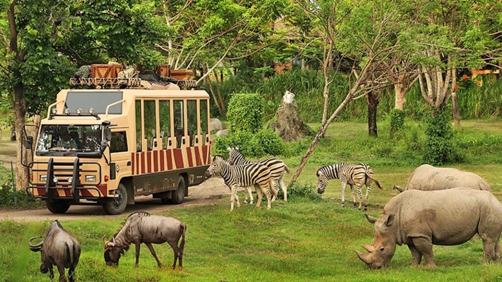 Indonesia Safari Park