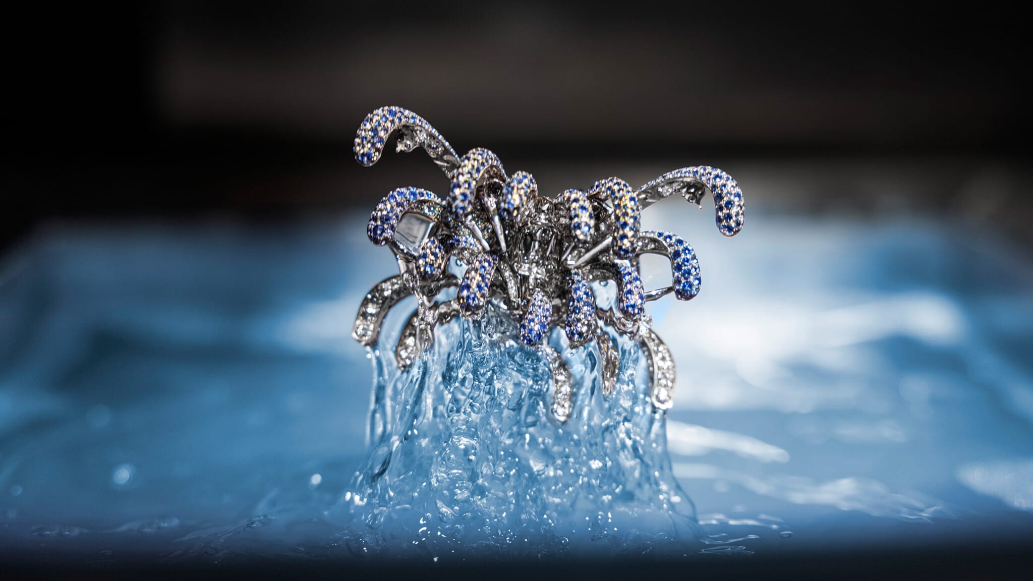 FENDI - 美品　The Glory of Water: Daguerreotypes Fendi celebrates Karl Lagerfeld The Glory of Water in Paris